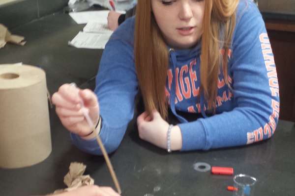Free test kit yields soil&nbsp;information