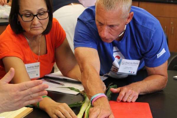How will you use what you learned in the&nbsp;workshop?