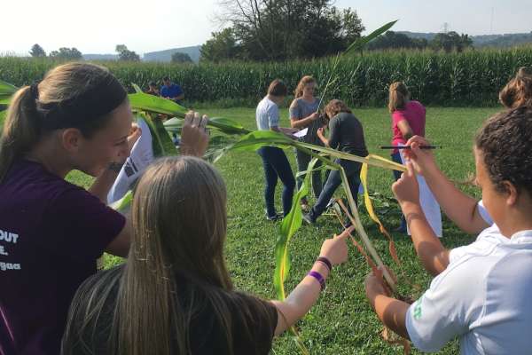 Learning about corn’s vegetative state and predicting&nbsp;yield