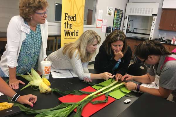 Springfield Feed the World workshop a great&nbsp;success!