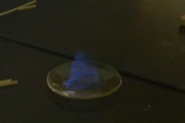 The school year is ending in&nbsp;flames!!