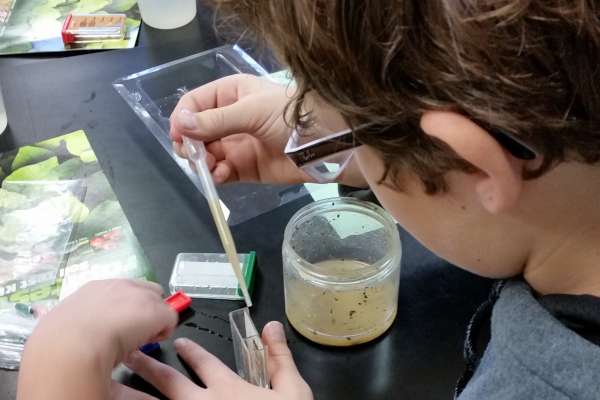 Workshop and Grant Money Enhance Science&nbsp;Lessons