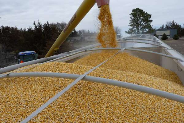 Ohio is the seventh leading producer of corn in the United&nbsp;States